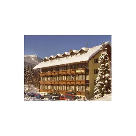 Апартаменты 0-bedroom In Bayer. Eisenstein Байериш-Айзенштайн